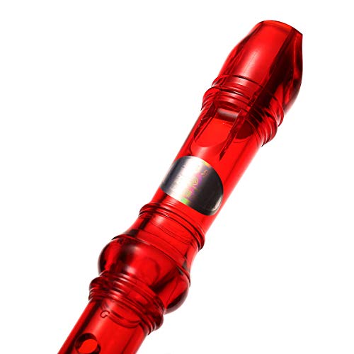 2 KINGSO+Recorder+Cleaning+Instrument+transparent