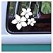 Plumeria Hawaiian Flower Trio Adhesive Decal Size 4.25