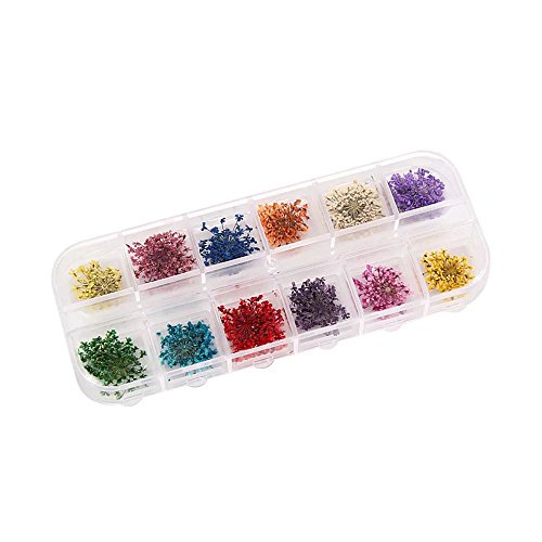 EYX Formula Set of 24 Different Colors Five Flower Variety Flower DIY Nail Art 3D Nail Stickers Nail Supplies Dried Flowers Nail Decoration Tool for Manicure