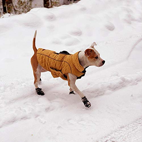 dog boots large breed