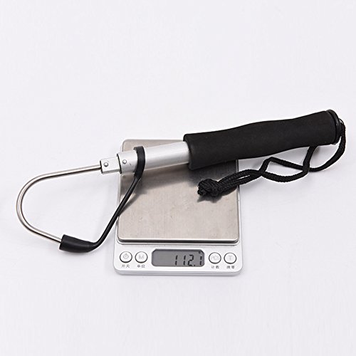Zehui Portable Stainless Sea Fishing Telescopic Retractable Fish Gaff Tackle Spear Hook Fishing Gripper Tool Silver 90Cm
