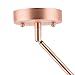 Effimero Large Stem Hung Clear Glass Contemporary Pendant Light. Copper Fixture with Adjustable Hanging Height. Industrial Edison Modern Style. UL Listed, Linea di Liara LL-P315-CU
