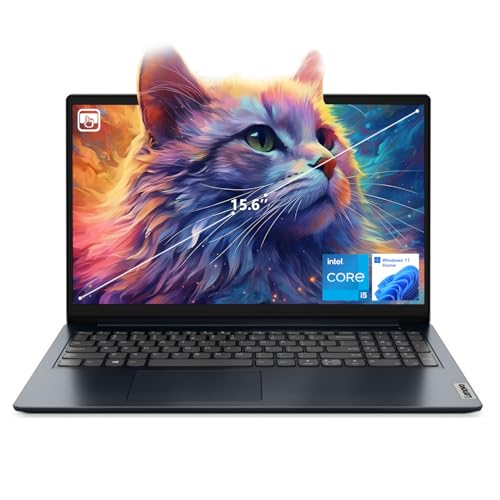 Lenovo IdeaPad 1i Laptop, 15.6
