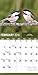 2016 Backyard Birds Wall Calendar