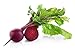 Rawseed Organic Beet Root Powder 