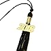 TecUnite Graduation Tassel Academic Graduation Tassel with 2018 Year Charm Ceremonies Accessories for Graduates (Gold and Black)