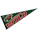 NHL Minnesota Wild WCR57434113 Carded Classic Pennant, 12
