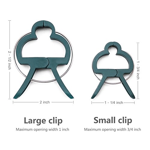 2 Sago+Brothers+Plant+Flower+Clips