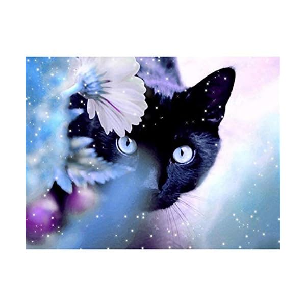 DIY Malen nach Zahlen Kit für Erwachsene Kinder Anfänger 16 X 20 Zoll - Katze Blumen (Rahmen)