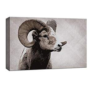 Wildlife Goat with Big Horn Painting Artwork for Framed