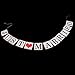 Pixnor Just Married Wedding Banner Wedding Garland Wedding photo booth props Wedding Decorations