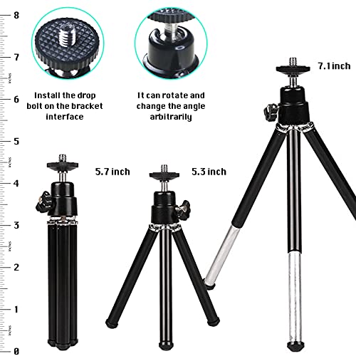 BotaBay 10x42 Monocular Telescope, Waterproof Handheld Night Vision, with Adjustable Tripod & Smartphone Holder, BAK4 Prism for Bird Watching/Hunting/Hiking/Concert/Travelling/Adults/Kids
