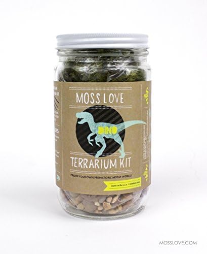 * Dinosaur * DIY Moss Terrarium Kit - popular unique fun gift or project! Reg $42