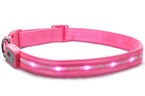Blazin' Safety LED Dog Collar - USB Rechargeable with Water Resistant Flashing Light - Medium Pink