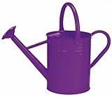 Gardman 8337 Galvanized Steel Watering Can, Blackberry, 1-Gallon