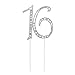 Pixnor Sweet 16 Cake Topper Rhinestone Number Sixteen 16th Birthday Party Decoration Silver