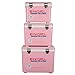 Engel UC13 13qt Leak-Proof, Air Tight, Drybox Cooler and Small Hard Shell Lunchbox for Men and Women in Pinl