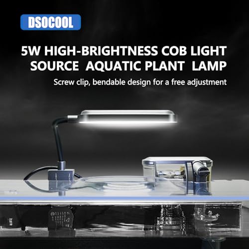 2.5 Gallon Nano Nature Aquarium Kit, Ultra-Clear Rimless Desktop Fish Tank with Light, Filter and Self Cleaning System, Perfect for Small Fish, Shrimp, or Betta (Ultra-Clear Rimless Fish Tank Kit)