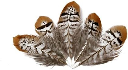 Hgshow Silver Pheasant Feathers 2-4 inches,hand sorting,per pack of 20