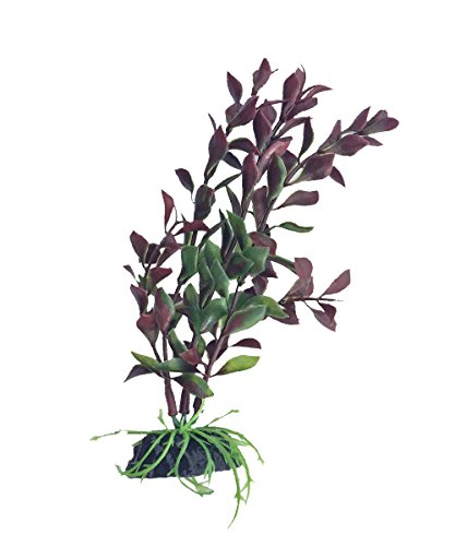 Blue Spotted Betta Fish 6 Inch Red Ludwigia Artificial Plants For Tropical Fish Aquariums & Terrariums, Ruby Basin Collection. Great For Betta Fish & Tetras!