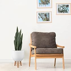 Worth Garden 3ft Artificial Snake Plant Fake