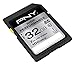 PNY 32GB High Performance Class 10 U1 SDHC Flash Memory Card - 100MB/s Read, Class 10, U1, Full HD, UHS-I, Full Size SD