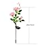 XLUX Outdoor Solar Powered Rose Lights Flower Stake, for Garden Patio Yard Christmas Pathway Decoration, Pink