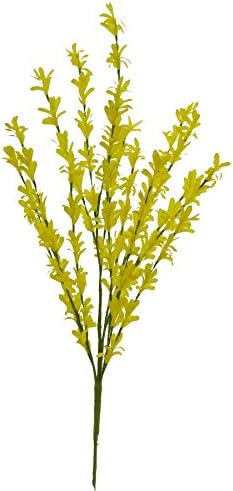 Renaissance 2000 Forsythia Pick