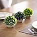 Sophia's Garden Artificial Plants Fake Plants for Plant Decor, Cute, Realistic Desk Plant - Small Artificial Plants Fake Plant Artificial Plant for Home Decor Faux Plant Feaux
