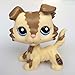 Littlest Pet Shop LPS Pet Collie Dog Child Girl Figure Toy Loose Cute lps #2210 Brown and Caramel Collie Dog