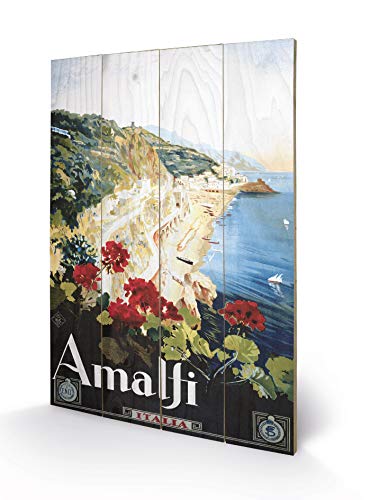 Piddix (Amalfi 40 x 59cm Wooden Wall Art