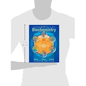 Fundamentals of Biochemistry: Life at the Molecular Level, 4th Edition