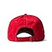 AA Apparel - The Glastonbury Tour Dad Hat (Red)