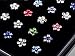Shuning 20G 24Pcs Straight Nose Pin Stud Rings Stainless Steel Bone Bar Crystal Flower Piercing Jewelry Case