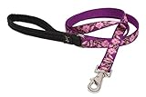 LupinePet Originals 3/4