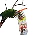 Tropical Chickens Parrot Bird Boredom Buster Forage Box Creative Hanging Treat Foraging Toy Conure Cockatiel for Small Bird Enrichment Transparent Acrylic Food Holder