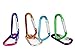 Valgens D Shape Spring-loaded Gate Aluminum Carabiner for Home, Rv, Camping, Fishing, Hiking, Traveling and Keychain Small Size(Assorted Colors)