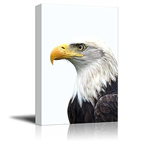 Canvas Wall Art - an Eagle - Giclee Print Gallery Wrap Modern Home Art Ready to Hang - 12" x 18"