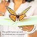 Lovepop Butterfly Pop Up Card, 5x7-3D Greeting Card, Mother's Day Card, Card for Wife or Mom, Anniversary Pop Up Card, Pop Up Birthday Card