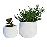 Modern Small Succulent Planters, Cute Window Planters for Cactus, Set of Two Geometric Pots (2, White)