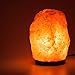 HemingWeigh Natural Himalayan Salt Lamp Hand Carved with Genuine Wood Base, Bulb and On and Off Switch 6 to 8 Inch