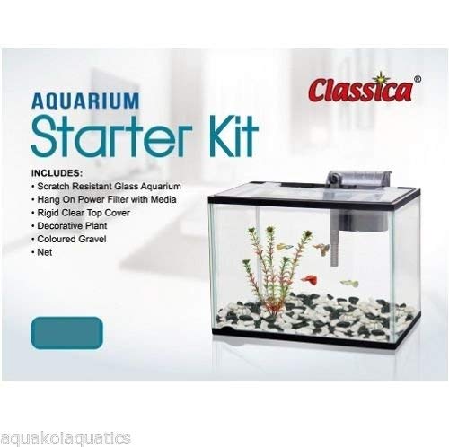 goldfish starter kit with filter