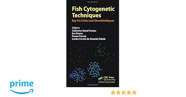 Fish cytogenetic techniques rayfin fishes and chondrichthyans
