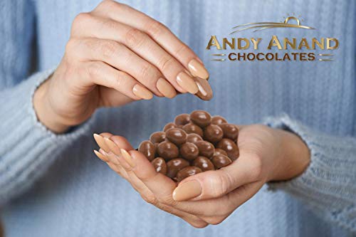 Andy Anand's Chocolates - Premium California Farm fresh Strawberries covered with Rich Dark Chocolate in a Gift Box, All Natural Certified made from Natural Ingredients (1 lbs)