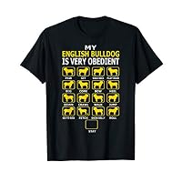 English Bulldog Very Obedient Stubborn Tricks