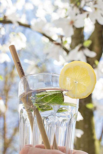 pandoo wiederverwendbare Strohhalme aus 100% Bambus inklusive Reinigungsbürste (12 Stück) | Waschbare & Umweltfreundliche Trinkhalme | 100% biologisch abbaubar | Eco Bamboo Straws Natur – Bild 3