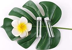 MaxMau Pack of 100, 20ml Small Glass Bottles with