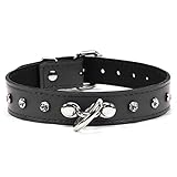 VP Leather Rena Collar - Black