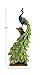 Deco 79 Poly-Stone Peacock, 7 by 21-Inch