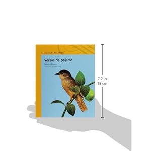 Versos de Pajaros (Spanish Edition)
